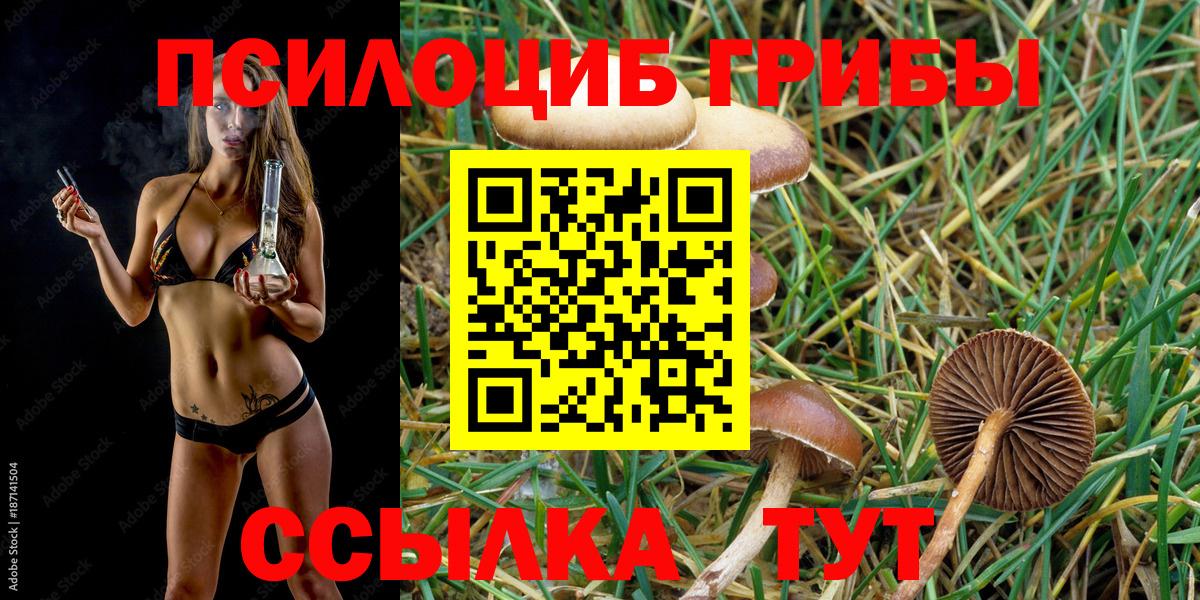 Галлюциногенные грибы MAGIC MUSHROOMS Нефтекамск